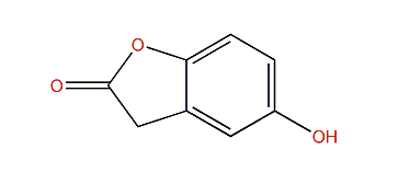 5-Hydroxybenzofuran-2(3H)-one